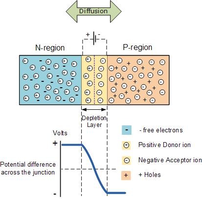Depletion region formation and behavior in a P-N junction under different bias conditions